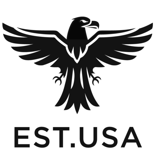 American Investment
